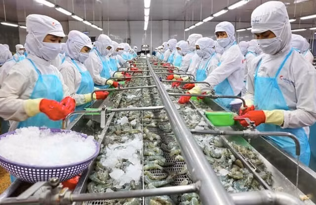 Thuc pham Sao Ta bo nhiem thanh vien HDQT moi, du kien chia co tuc 20%