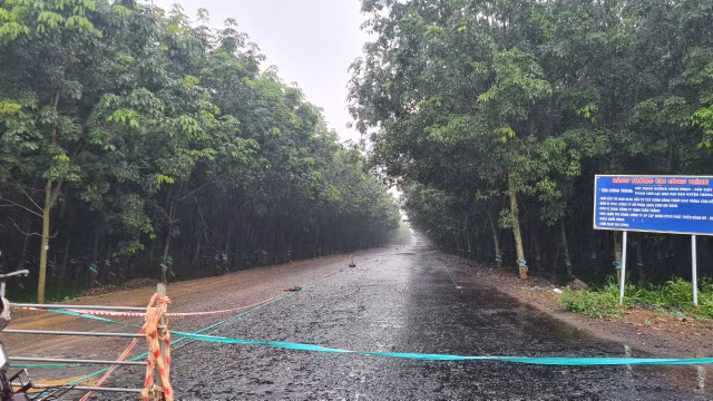 Duong Song Nhan - Dau Giay (Dong Nai): Troi mua nha thau van tham nhua? (bai 1)-Hinh-4