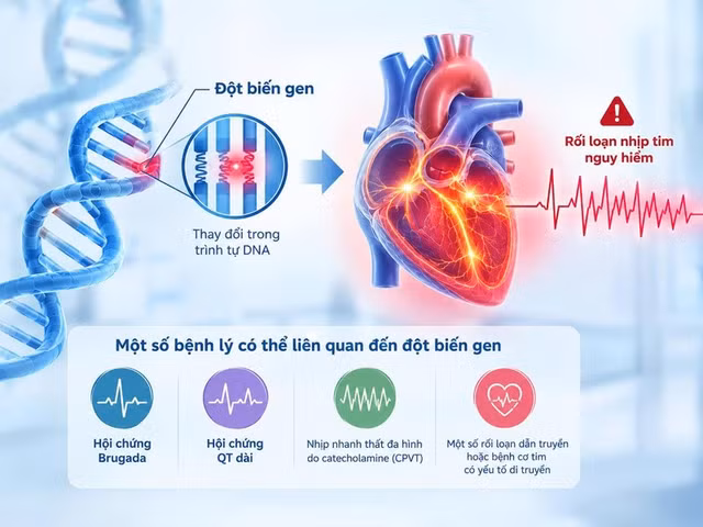 roi-loan-nhip-6568.jpg
