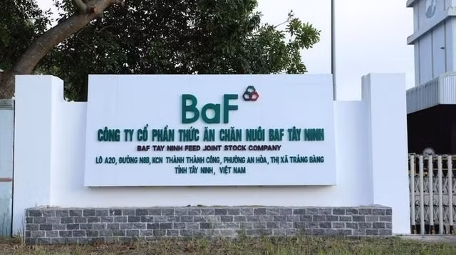 BaF Viet Nam khong tra co tuc trong nam 2024