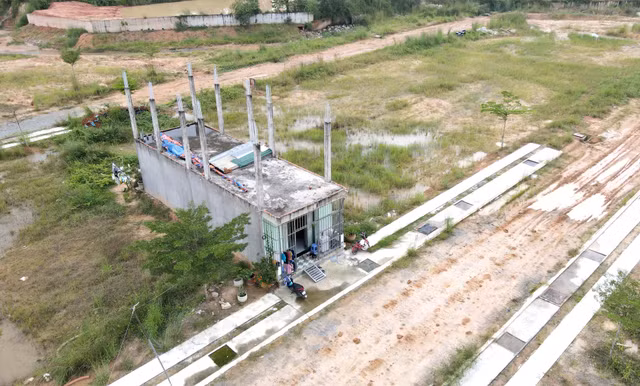 Du an Green Valley City: Khach hang bi kien tung boi Cong ty Sai Gon Center (Bai 1)-Hinh-3