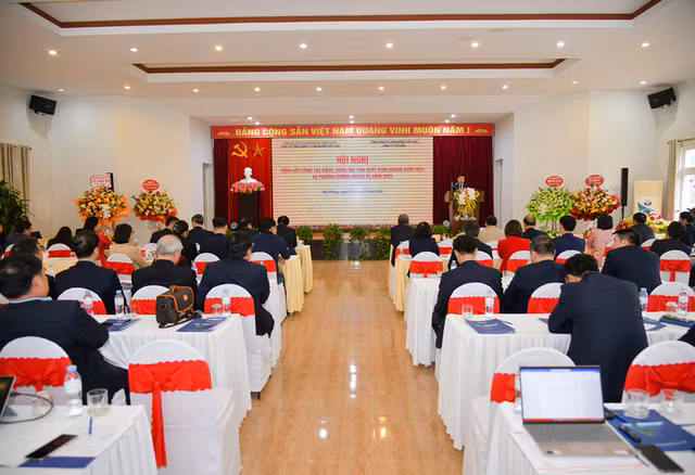 Vinafor uoc lai sau thue 325 ty dong nam 2024