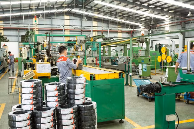Cadivi du tang ty le co tuc tu 50% len 140%