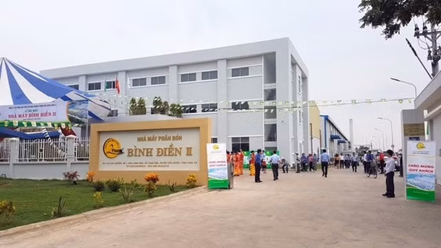 Phan bon Binh Dien bi xu phat do khai sai thue