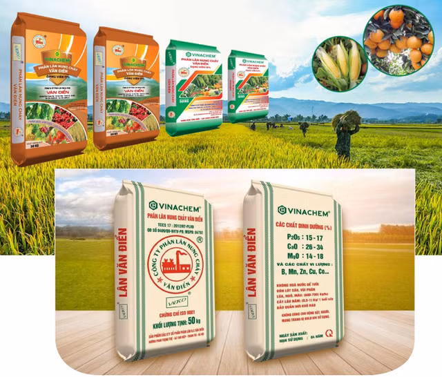 Co phieu VAF cua Phan lan Van Dien roi vao dien kiem soat