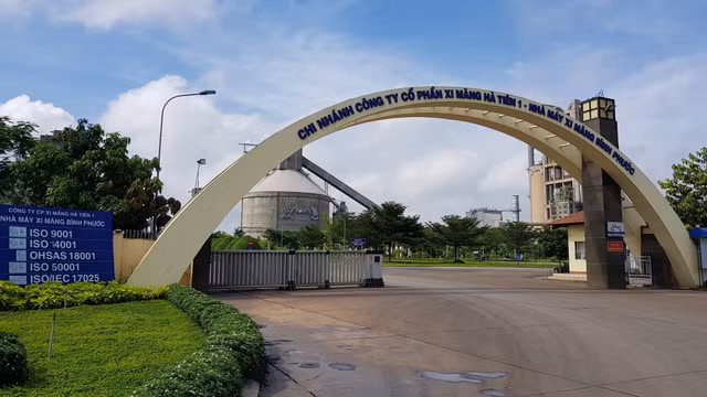 Loi nhuan nam 2024 Vicem Ha Tien giam 7% sau kiem toan
