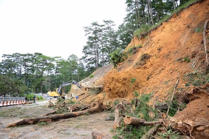 Sáng 29/10, lực lượng chức năng vẫn duy trì phong tỏa hiện trường, cấm toàn bộ phương tiện lưu thông hai chiều để đảm bảo an toàn. Tại vị trí sạt lở chính, lớp đất đá phủ dày hơn một mét, kéo dài hàng chục mét, kèm theo nhiều gốc thông bật rễ, chắn ngang mặt đường.