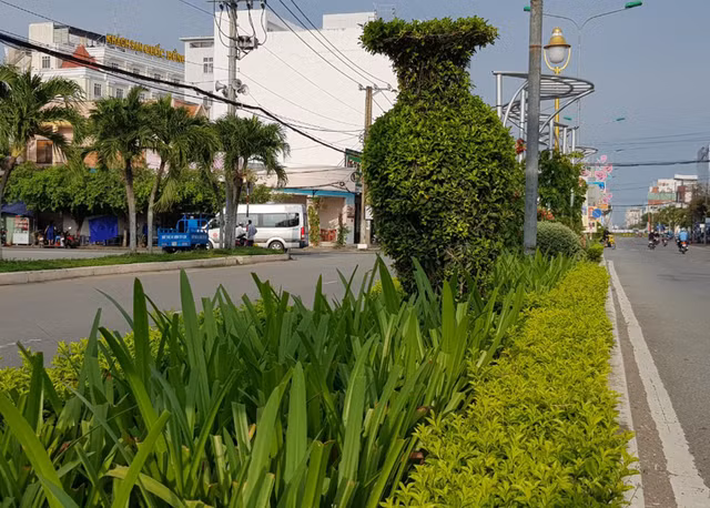 Sóc Trăng làm rõ vụ chi 104 tỷ đồng để trồng cây xanh Soc Trang lam ro vu chi 104 ty dong de trong cay xanh
