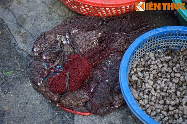 Kỳ lạ nơi 4 khu chợ nằm cạnh nhau độc nhất Hà Nội - Hình 14 Ky la noi 4 khu cho nam canh nhau doc nhat Ha Noi-Hinh-14