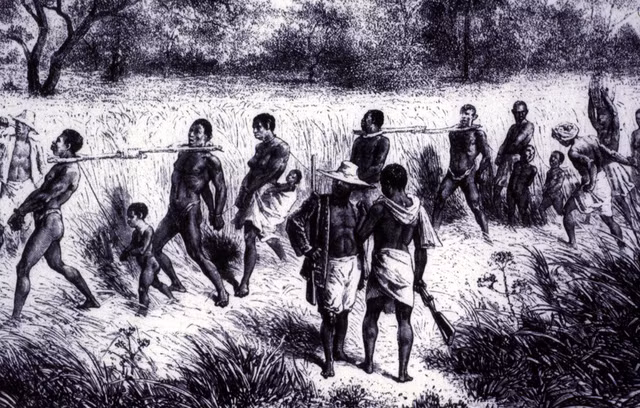 Giai ma dich benh giet sach dao quan hung manh cua Napoleon-Hinh-7