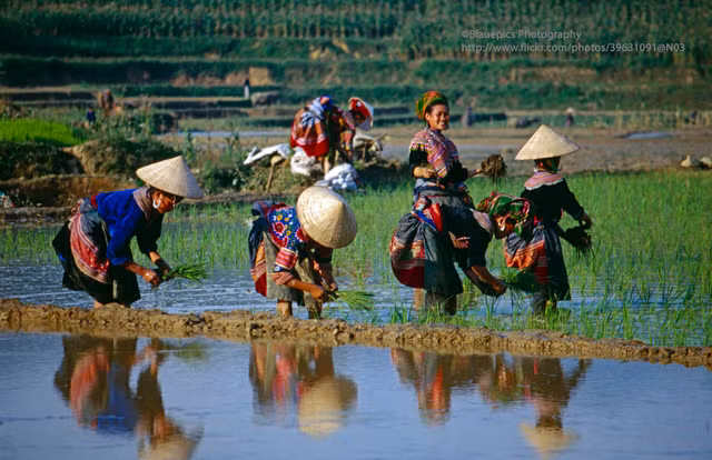 Loạt ảnh không thể rời mắt ở Lào Cai năm 1998 - Hình 8 Loat anh khong the roi mat o Lao Cai nam 1998-Hinh-8