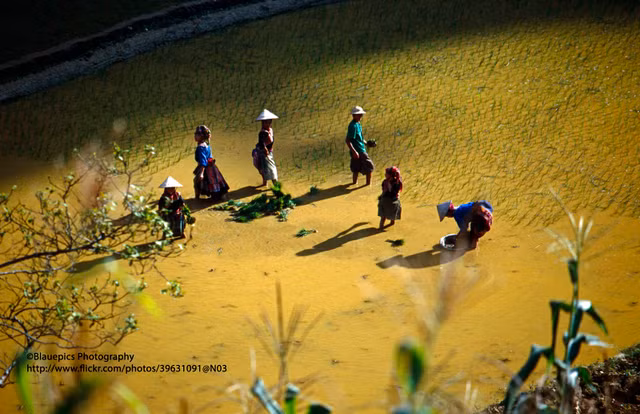 Loạt ảnh không thể rời mắt ở Lào Cai năm 1998 - Hình 14 Loat anh khong the roi mat o Lao Cai nam 1998-Hinh-14