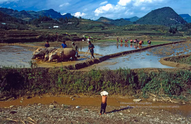 Loạt ảnh không thể rời mắt ở Lào Cai năm 1998 - Hình 7 Loat anh khong the roi mat o Lao Cai nam 1998-Hinh-7