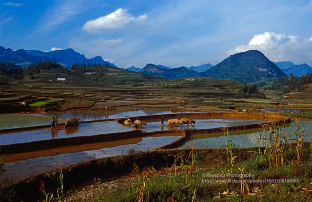 Loạt ảnh không thể rời mắt ở Lào Cai năm 1998 - Hình 6 Loat anh khong the roi mat o Lao Cai nam 1998-Hinh-6