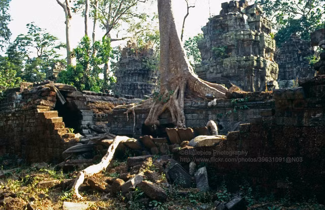 Phế tích Angkor Wat 3 thập niên trước trông như nào? - Hình 11 Phe tich Angkor Wat 3 thap nien truoc trong nhu nao?-Hinh-11