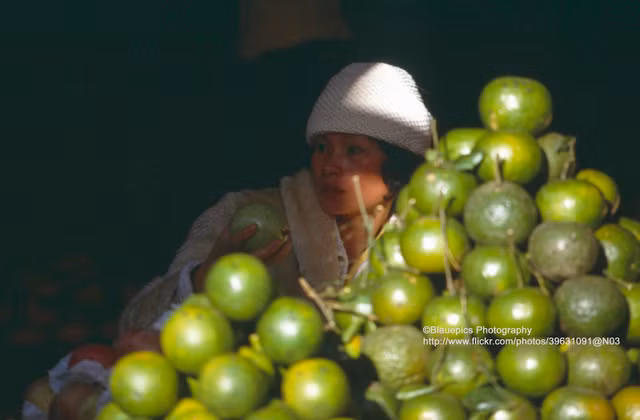 Hành trình TPHCM lên Đà Lạt cực độc lạ năm 1993 - Hình 13 Hanh trinh TPHCM len Da Lat cuc doc la nam 1993-Hinh-13