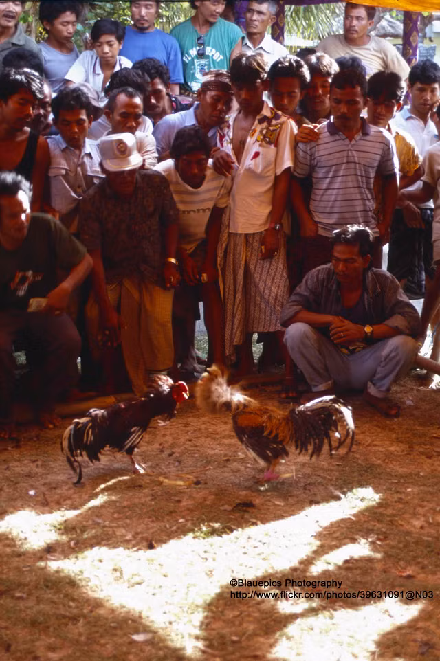 Thiên đường du lịch Bali vô cùng độc đáo năm 1991 - Hình 10 Thien duong du lich Bali vo cung doc dao nam 1991-Hinh-10