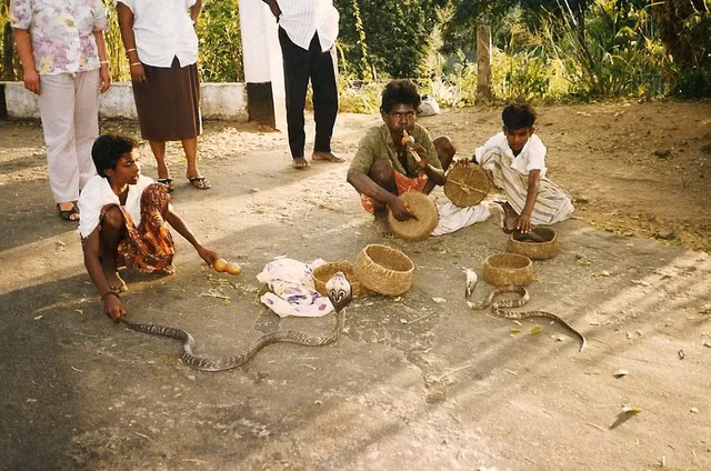 Trải nghiệm cuộc sống cực thú vị ở Sri Lanka năm 1993 - Hình 7 Trai nghiem cuoc song cuc thu vi o Sri Lanka nam 1993-Hinh-7