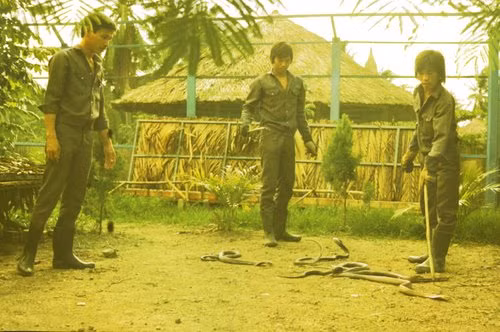 Người Đức và trải nghiệm khó quên ở Nam Bộ năm 1988-1989 - Hình 3 Nguoi Duc va trai nghiem kho quen o Nam Bo nam 1988-1989-Hinh-3