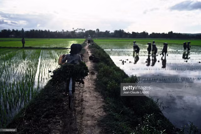 Cuộc sống thân thương ở nông thôn Việt Nam đầu thập niên 1990 - Hình 11 Cuoc song than thuong o nong thon Viet Nam dau thap nien 1990-Hinh-11