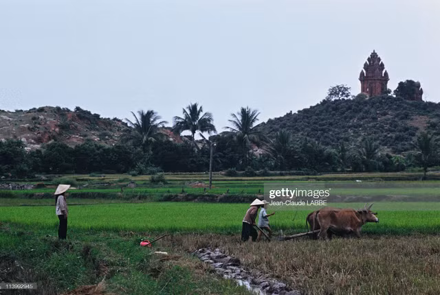 Loạt ảnh khó quên về ba miền Việt Nam năm 1994 - Hình 9 Loat anh kho quen ve ba mien Viet Nam nam 1994-Hinh-9