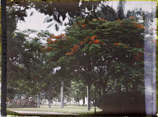 Hà Nội vào năm 1921 trông như thế nào? - Hình 4 Ha Noi vao nam 1921 trong nhu the nao?-Hinh-4