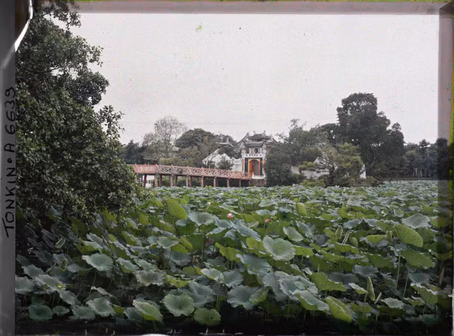 Hồ Hoàn Kiếm - đền Ngọc Sơn cực khác lạ trong ảnh màu năm 1915 - Hình 5 Ho Hoan Kiem - den Ngoc Son cuc khac la trong anh mau nam 1915-Hinh-5