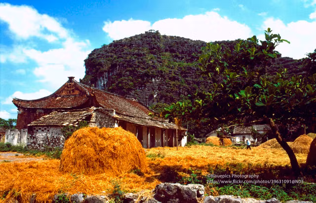 Khung cảnh tươi đẹp của Ninh Bình năm 1998 qua ống kính Tây - Hình 11 Khung canh tuoi dep cua Ninh Binh nam 1998 qua ong kinh Tay-Hinh-11