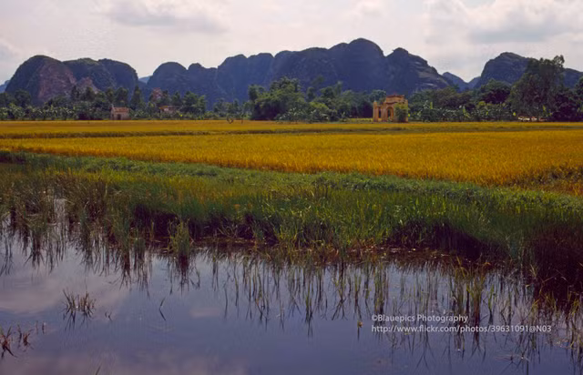 Khung cảnh tươi đẹp của Ninh Bình năm 1998 qua ống kính Tây - Hình 3 Khung canh tuoi dep cua Ninh Binh nam 1998 qua ong kinh Tay-Hinh-3