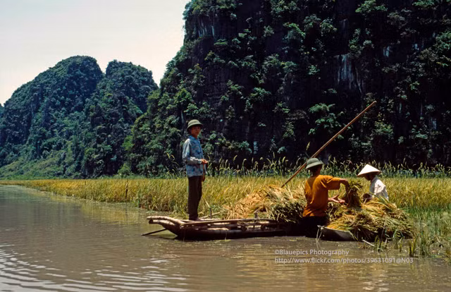 Khung cảnh tươi đẹp của Ninh Bình năm 1998 qua ống kính Tây - Hình 10 Khung canh tuoi dep cua Ninh Binh nam 1998 qua ong kinh Tay-Hinh-10