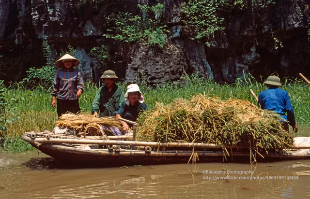 Khung cảnh tươi đẹp của Ninh Bình năm 1998 qua ống kính Tây - Hình 9 Khung canh tuoi dep cua Ninh Binh nam 1998 qua ong kinh Tay-Hinh-9