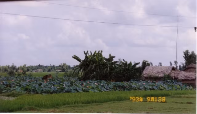 Cuộc sống ở nông thôn Việt Nam năm 1993 cực mộc mạc - Hình 7 Cuoc song o nong thon Viet Nam nam 1993 cuc moc mac-Hinh-7