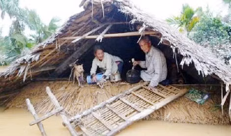 Mùa lụt bão: Người dân miền Trung tận dụng cái 'Tra' như thế nào? Mua lut bao: Nguoi dan mien Trung tan dung cai 'Tra' nhu the nao?