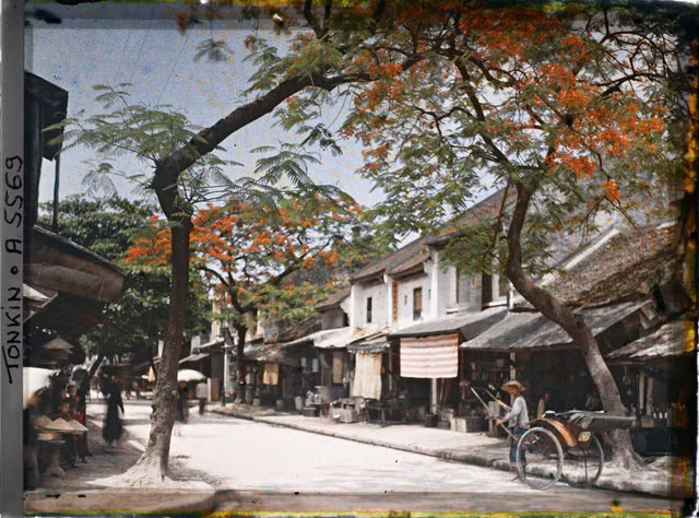 Phố Hà Nội năm 1915 rợp bóng cây xanh qua ảnh màu cực quý - Hình 4 Pho Ha Noi nam 1915 rop bong cay xanh qua anh mau cuc quy-Hinh-4