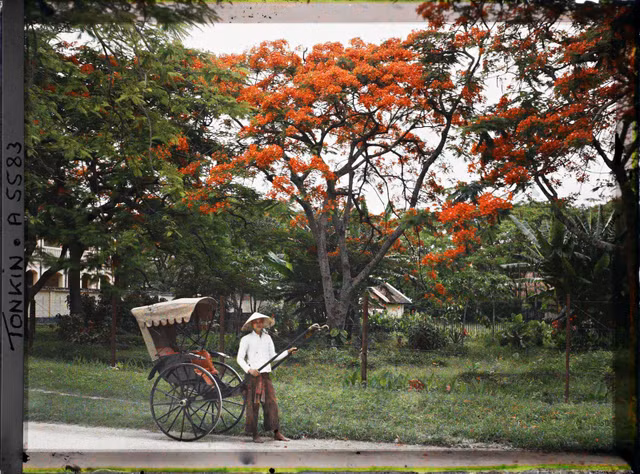 Phố Hà Nội năm 1915 rợp bóng cây xanh qua ảnh màu cực quý - Hình 9 Pho Ha Noi nam 1915 rop bong cay xanh qua anh mau cuc quy-Hinh-9