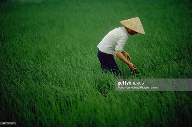 Cuoc song cuc nhon nhip o Ha Noi nam 1991 qua anh-Hinh-11
