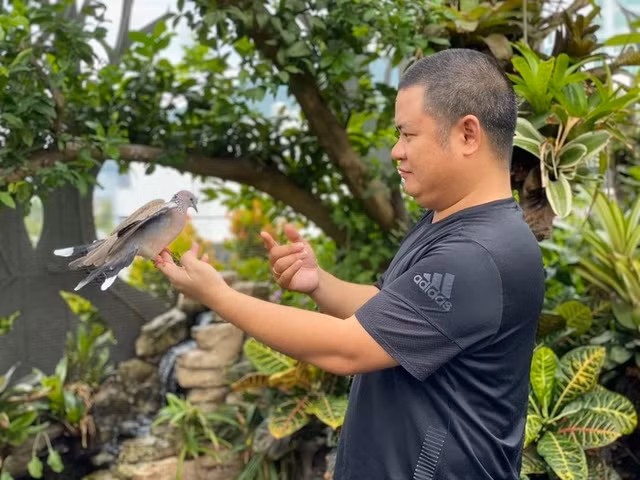 Hệ sinh thái vườn chim hơn 1 tỷ đồng trên sân thượng của đại gia Đà Nẵng He sinh thai vuon chim hon 1 ty dong tren san thuong cua dai gia Da Nang