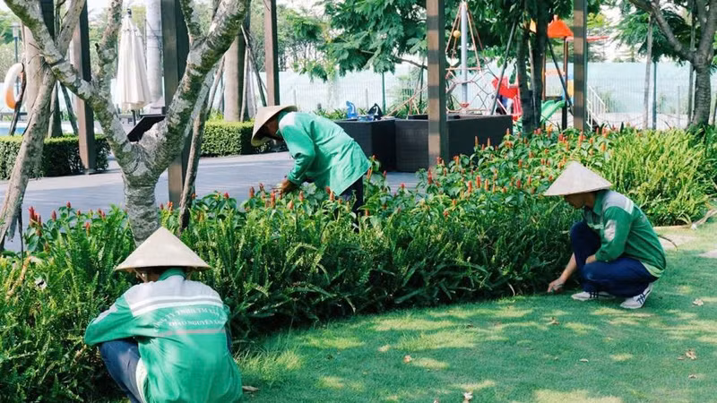 Gói thầu cây xanh gần 5 tỷ ở Tân Biên: Nhà thầu giá thấp bị loại sau yêu cầu làm rõ E-HSDT lần 2