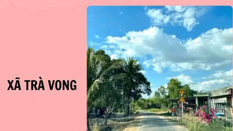 Gói thầu hơn 5,3 tỷ ở Trà Vong: Duy nhất một nhà thầu dự và trúng, tiết kiệm 0,69%