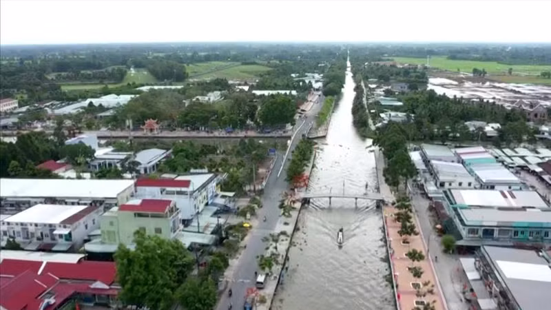 Vì sao đối thủ của Công ty Thịnh Vượng đồng loạt trượt thầu ? [Kỳ 2]