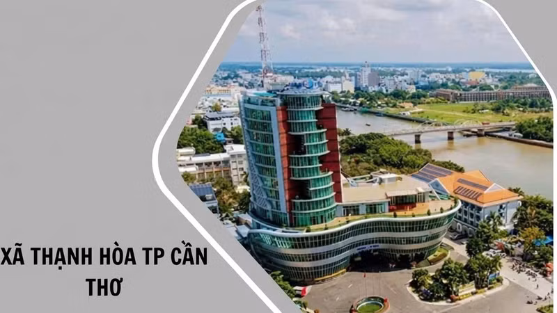 Cần Thơ: Nhà thầu giá thấp hơn 416 triệu đồng không đáp ứng yêu cầu
