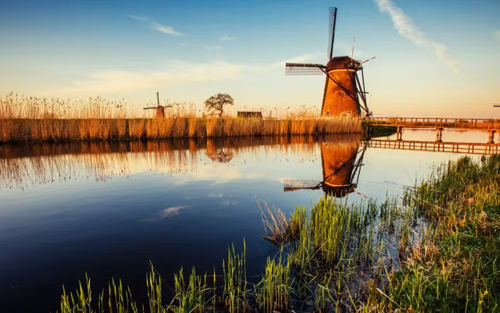 Trong quá trình nạo vét định kỳ trên sông Korte Linschoten gần Montfoort, tỉnh Utrecht, Hà Lan, người dân địa phương bất ngờ tìm thấy một vật thể lạ nằm dưới bùn. Ngay lập tức, họ trình báo sự việc đến Khoa Khảo Cổ Học của trường Đại học Leiden. Ảnh: @Đại học Leiden.