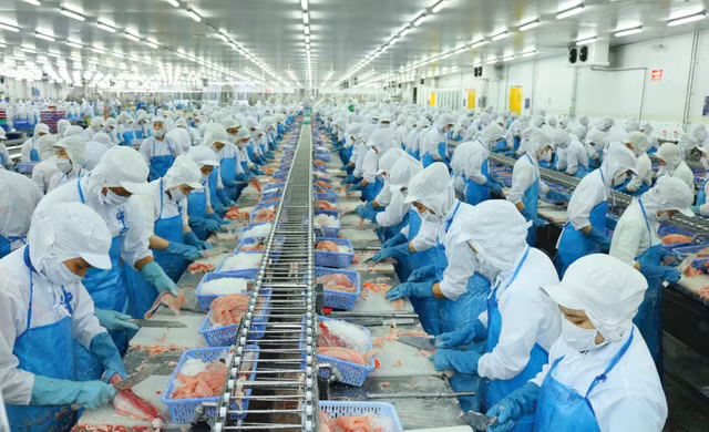Công ty Cổ phần Vĩnh Hoàn (VHC): Doanh thu phục hồi, cổ phiếu khả quan Cong ty Co phan Vinh Hoan (VHC): Doanh thu phuc hoi, co phieu kha quan