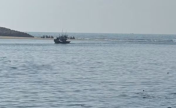 la-gi-1.jpg