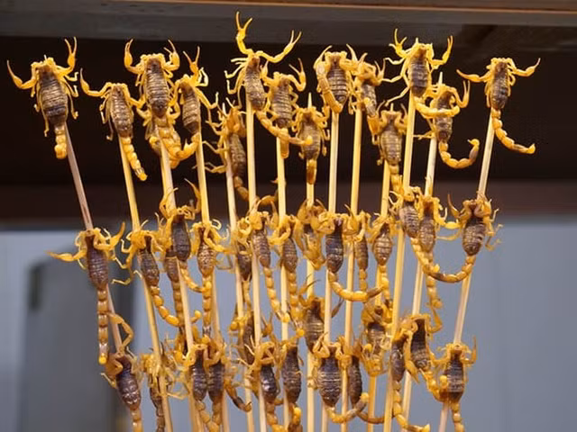 Những món ăn kinh dị nhất hành tinh, nhìn là phát hoảng - Hình 12 Nhung mon an kinh di nhat hanh tinh, nhin la phat hoang-Hinh-12