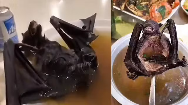 Những món ăn kinh dị nhất hành tinh, nhìn là phát hoảng - Hình 4 Nhung mon an kinh di nhat hanh tinh, nhin la phat hoang-Hinh-4
