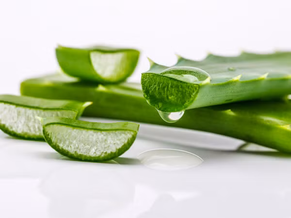 Những thực phẩm phụ nữ trên 30 tuổi nên ăn nhiều để xoá nếp nhăn - Hình 8 Nhung thuc pham phu nu tren 30 tuoi nen an nhieu de xoa nep nhan-Hinh-8
