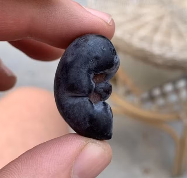 Những hình ảnh 'đánh lừa thị giác' ai cũng thấy hoang mang - Hình 5 Nhung hinh anh 'danh lua thi giac' ai cung thay hoang mang-Hinh-5