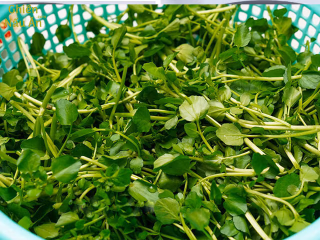 Tác dụng kinh ngạc của Cải xoong, có thể chống ung thư - Hình 7 Tac dung kinh ngac cua Cai xoong, co the chong ung thu-Hinh-7