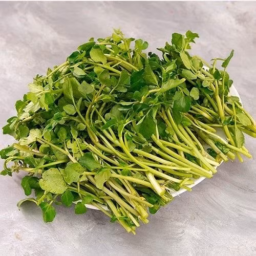 Tác dụng kinh ngạc của Cải xoong, có thể chống ung thư - Hình 4 Tac dung kinh ngac cua Cai xoong, co the chong ung thu-Hinh-4